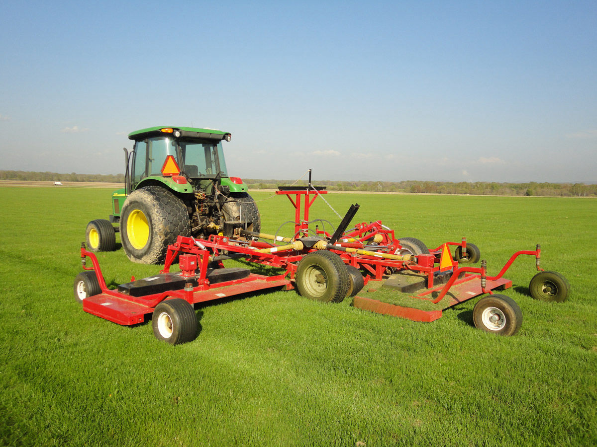 Рулонный газон Рулонный газон